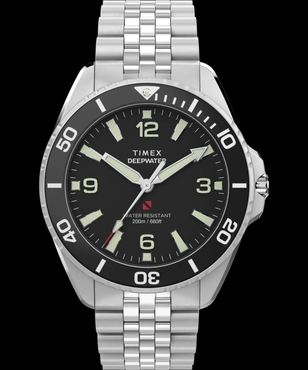 Timex Arctic
