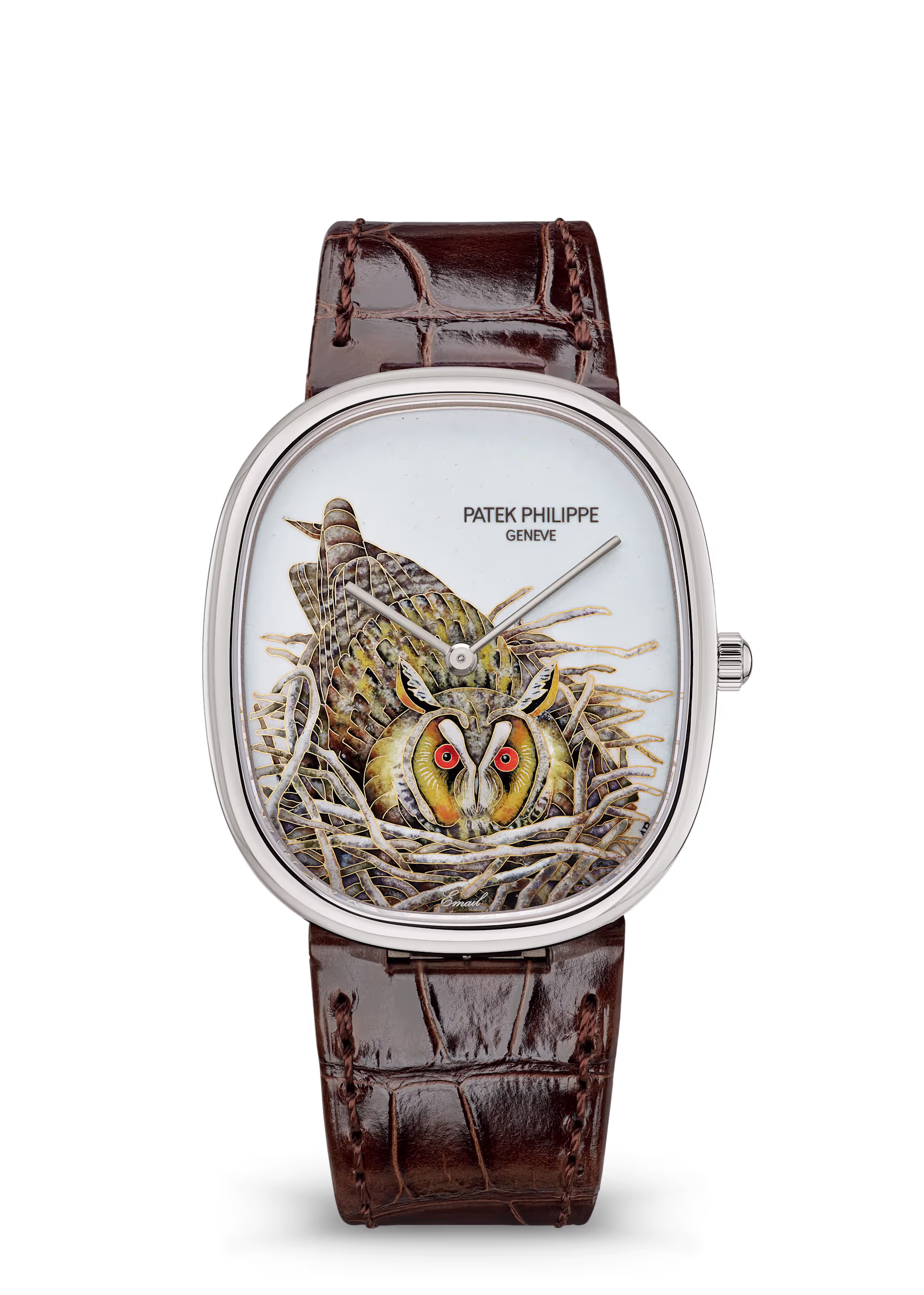 Patek Philippe Rare Handcrafts Brown Owl